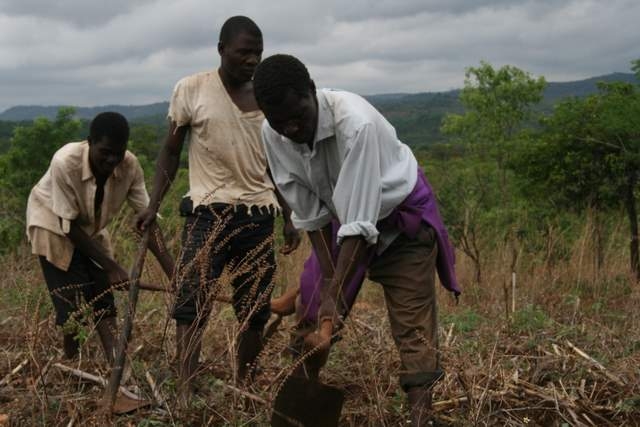 Malawian farmers, credit Find Your Feet