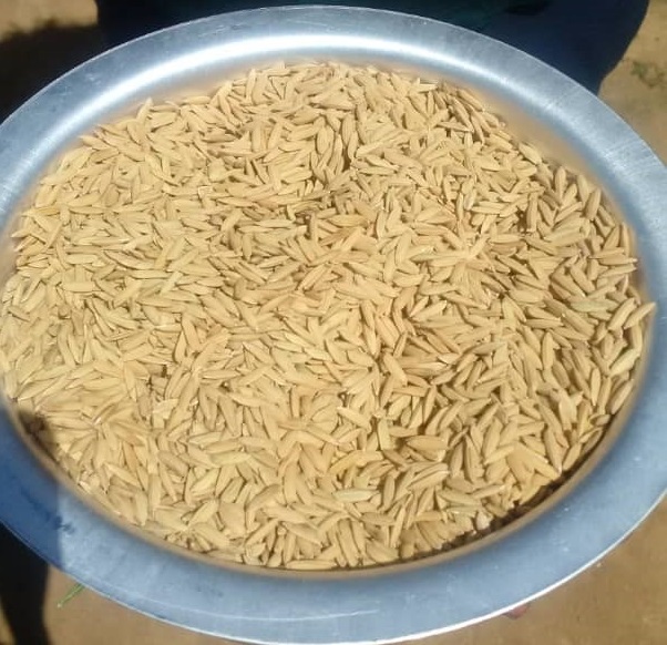 Kilombero rice