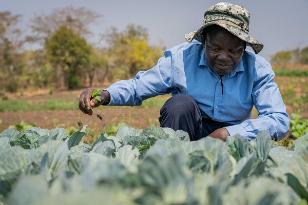 PROSPER project, credit Bahaji World Food Programme Malawi