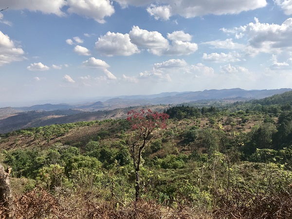 Malawi landscape