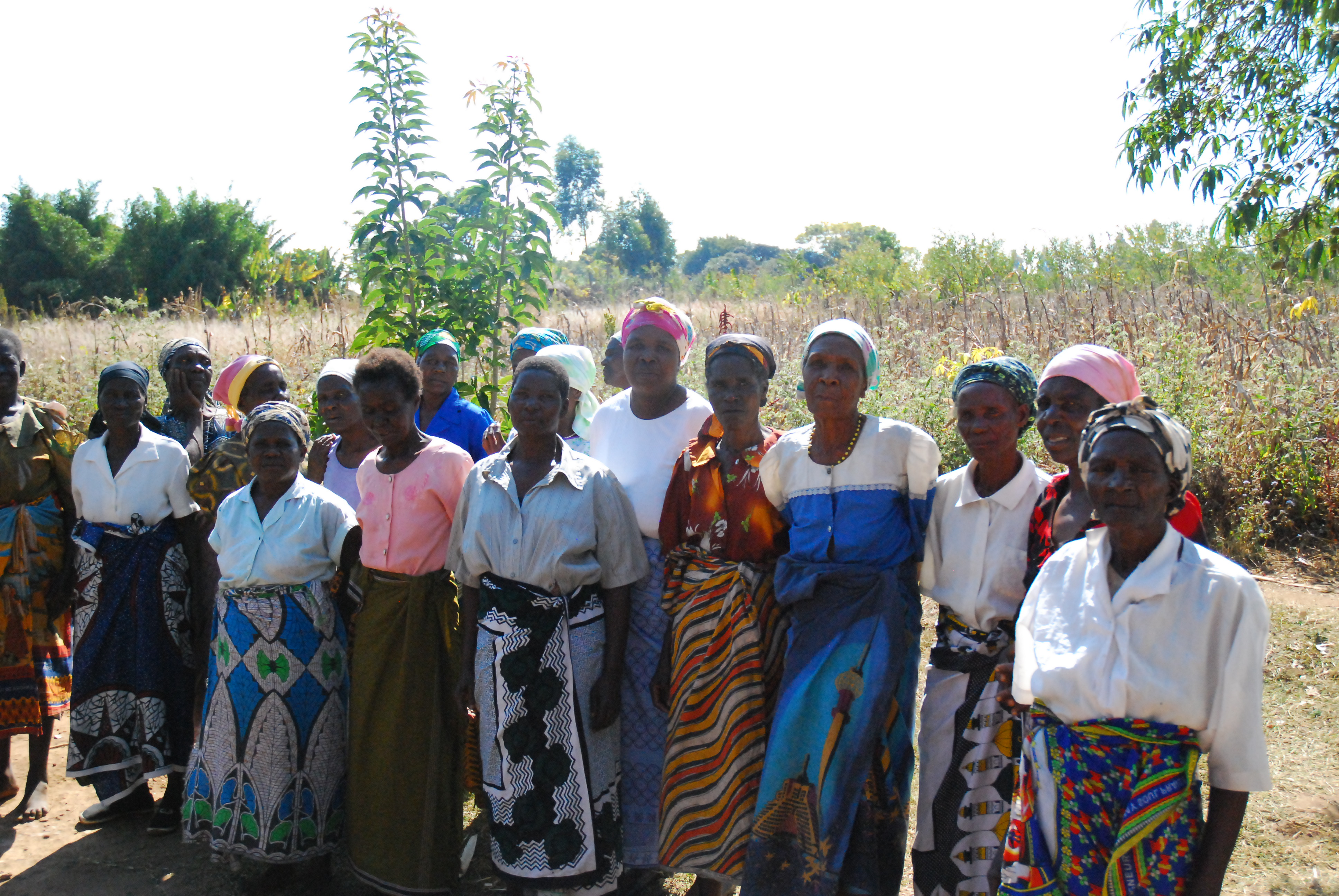 Women farmers in Malawi, credit Katharine Vincent